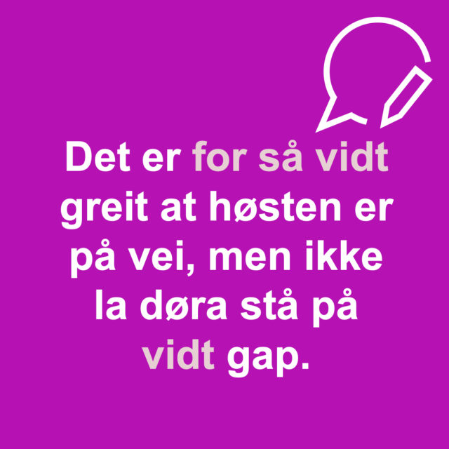 altrett korrektur språkvask oversettelse tekst rettskriving svavefeil bokmanus